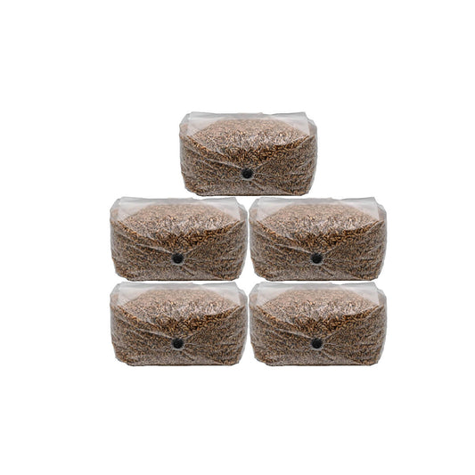 25 pounds of rye berry mushroom substrate