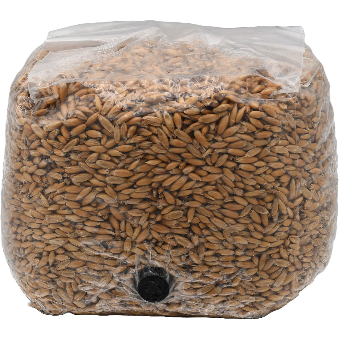 3 pound bag of oats mushroom substrate