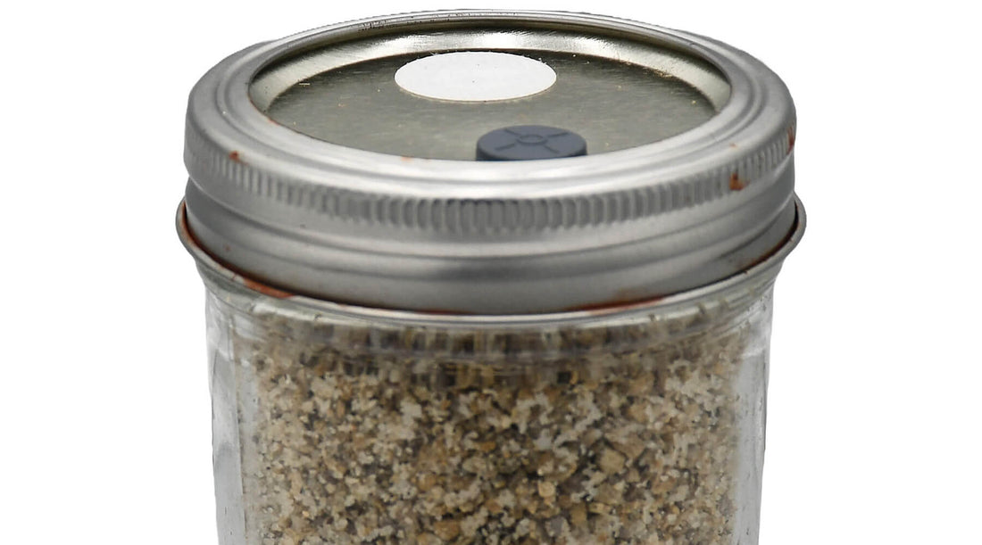 Half Pint Brown Rice Flour and Vermiculite Mushroom Substrate Jar