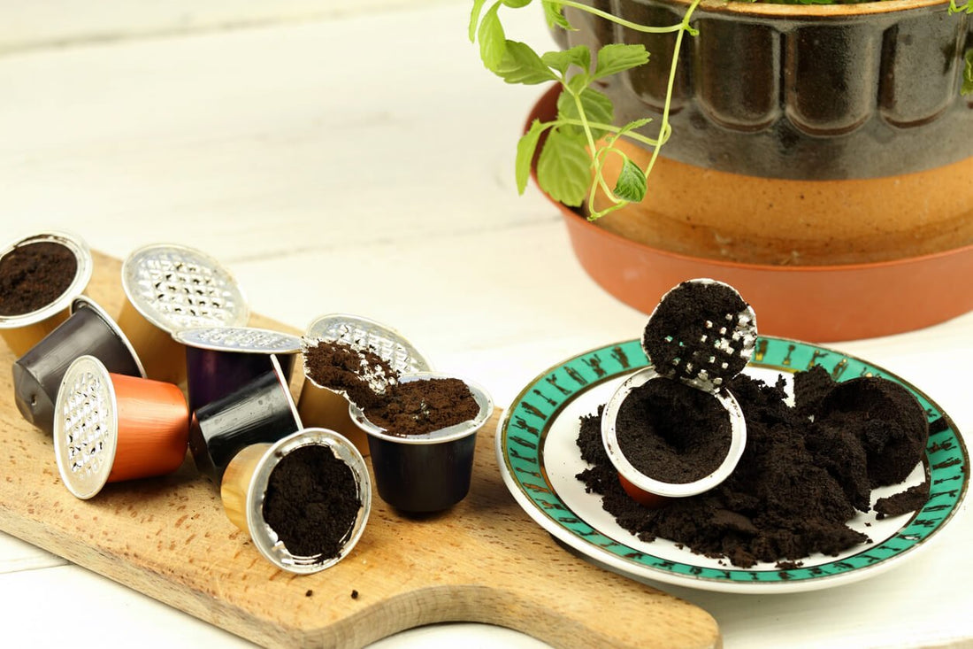 used coffee grounds on a cutting board and a plate