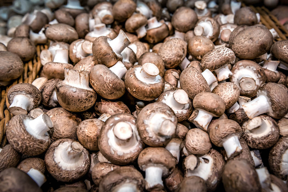 a pile of cremini mushrooms