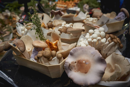 a large variety of different types of mushrooms on a table