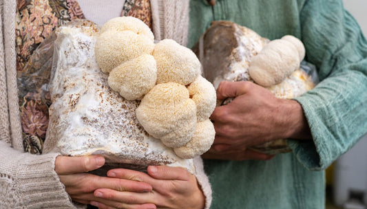 a couple both holding a bag of mushroom substrate that is growing lions mane mushrooms