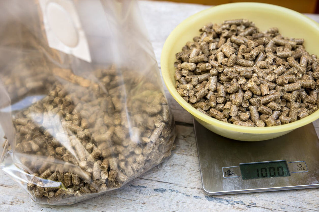 wood pellet mushroom substrate being weighed and placed into a mushroom grow bag