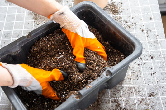 2 hands wearing rubber gloves mixing a mushroom substrate