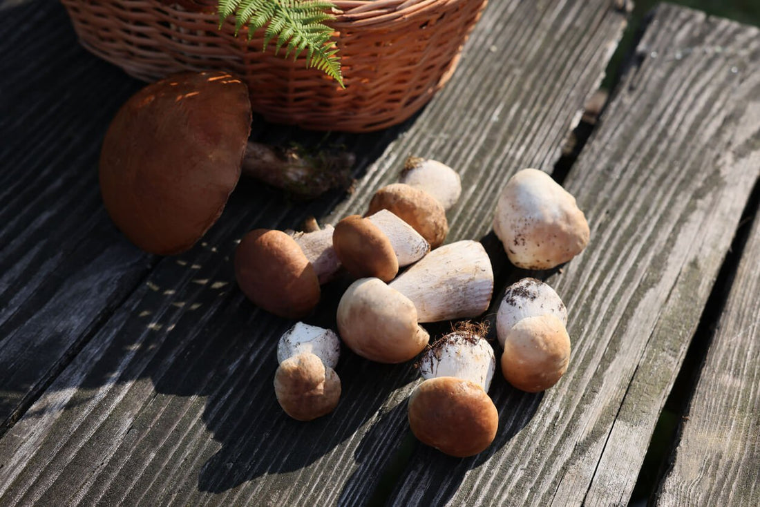 porcini mushrooms laying in a rustic wooden table