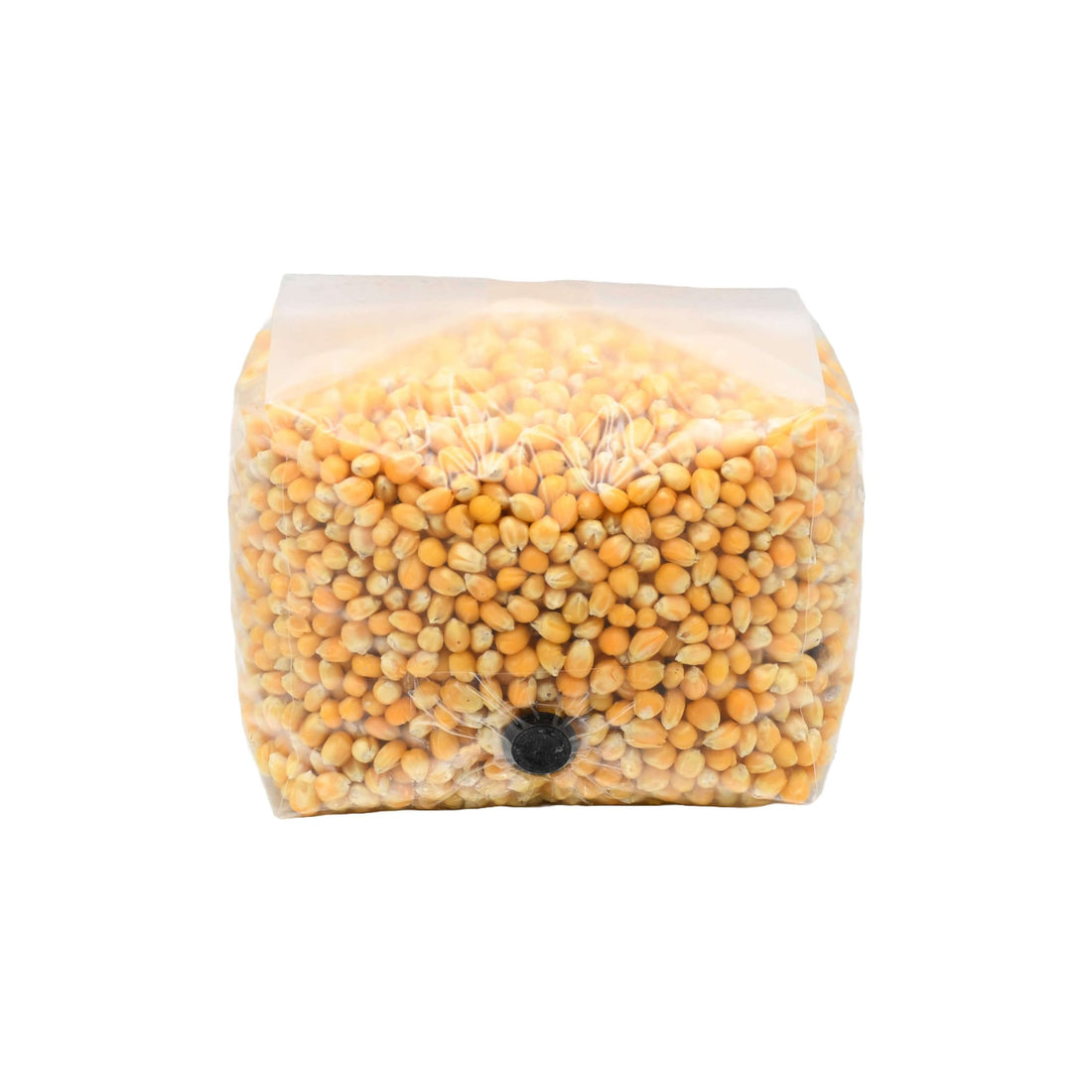 3 pound bag of popcorn mushroom substrate