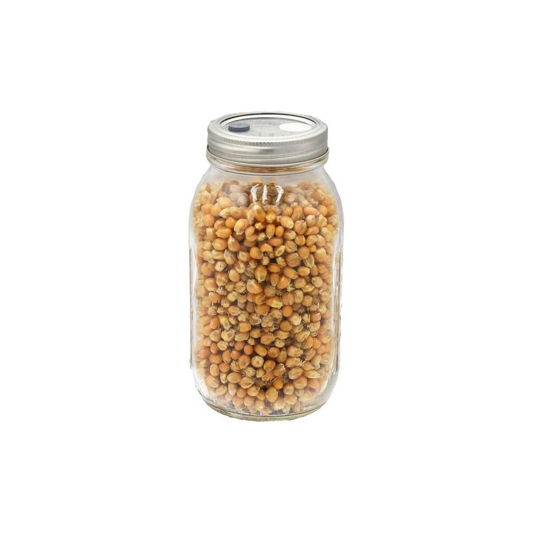 1 quart jar of popcorn mushroom substrate