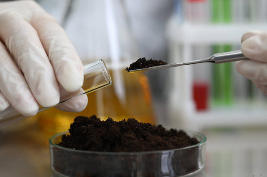 mushroom substrate being put into a test tube in a laboratory