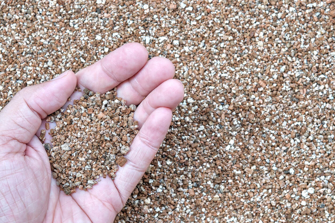 a hand holding vermiculite