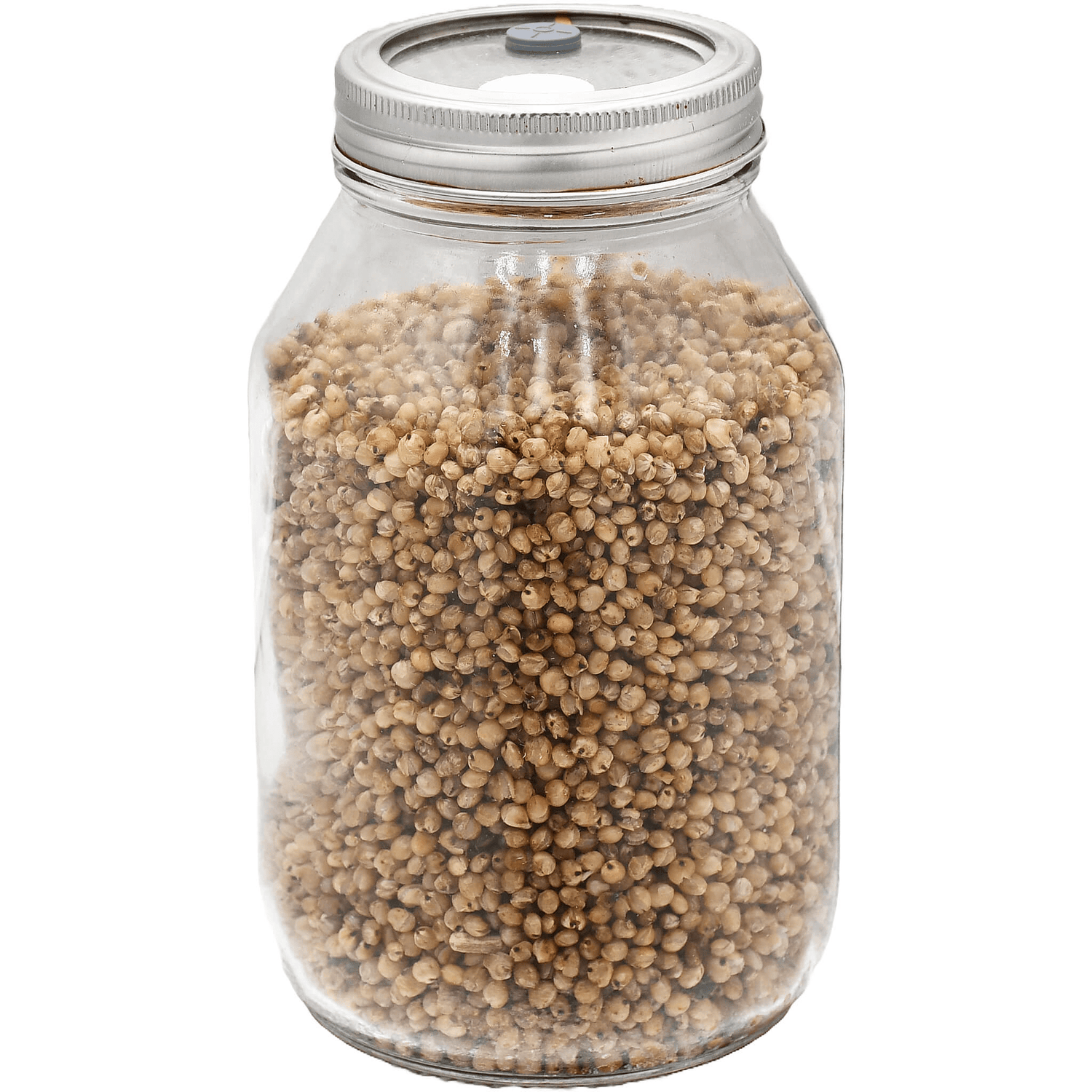 Grain Jars