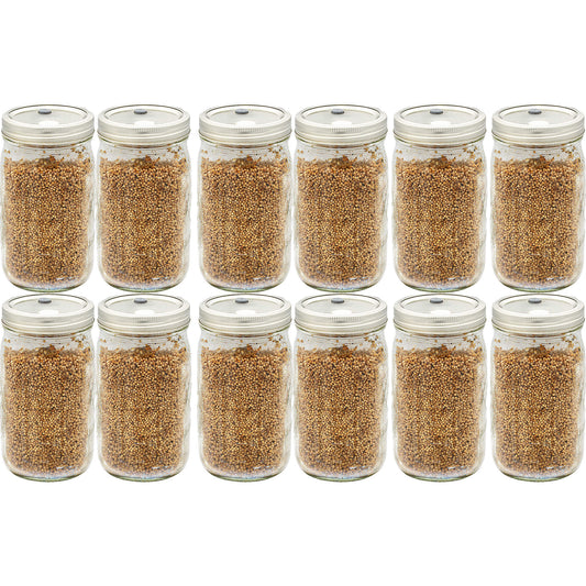 12 quart jars of white millet mushroom substrate