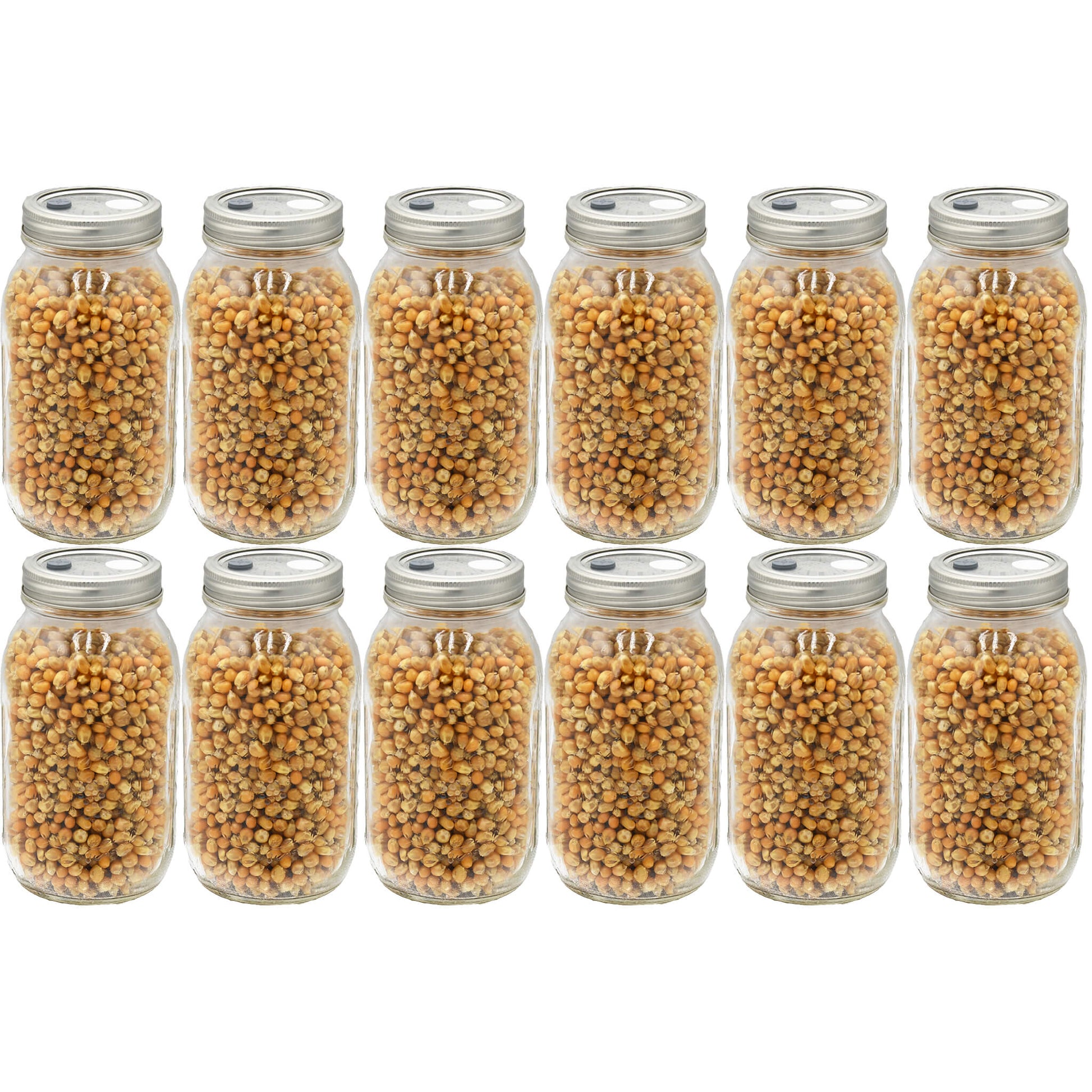 12 quart jars filled with popcorn mushroom substrate