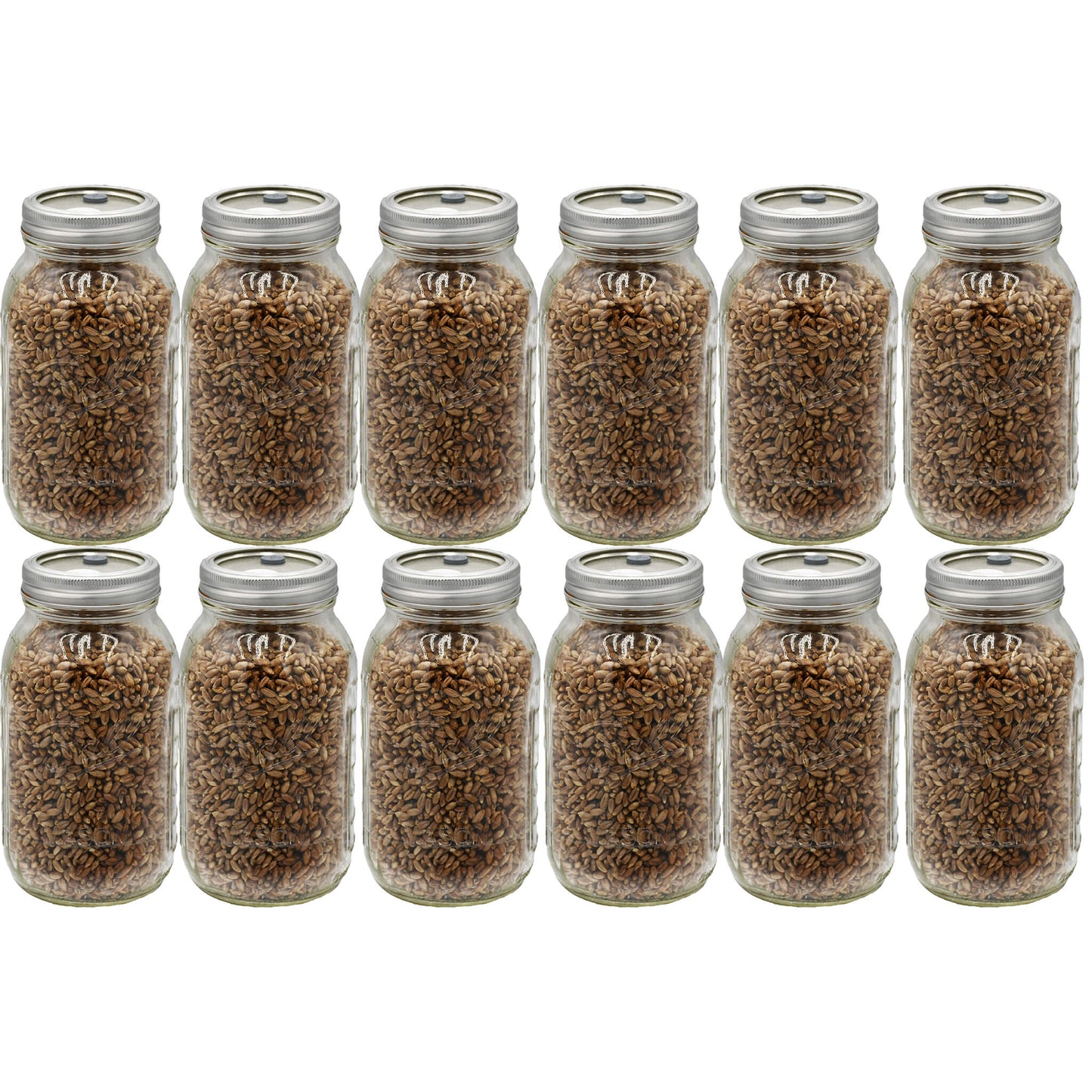 12 quart jars of rye berry mushroom substrate