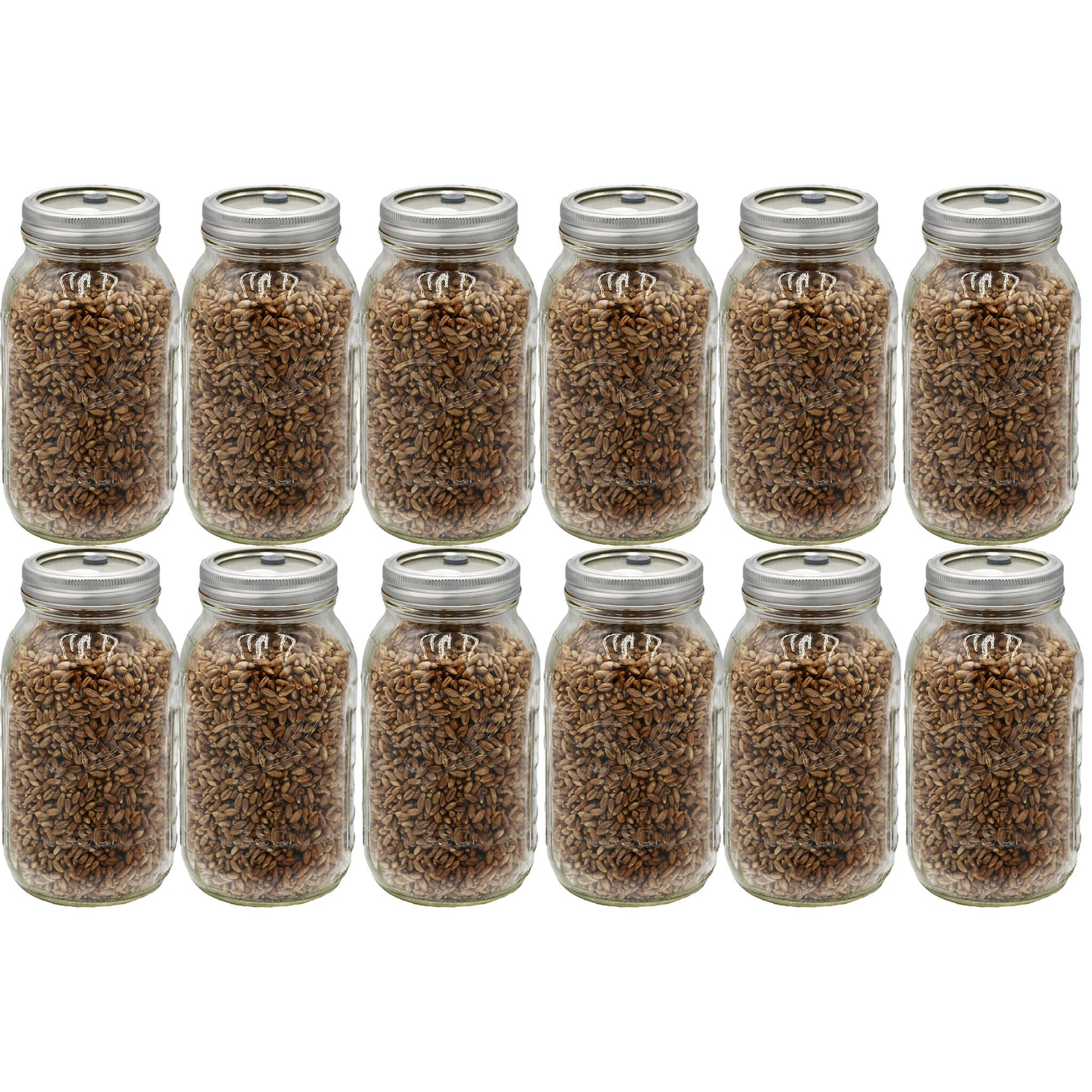 12 quart jars of rye berry mushroom substrate