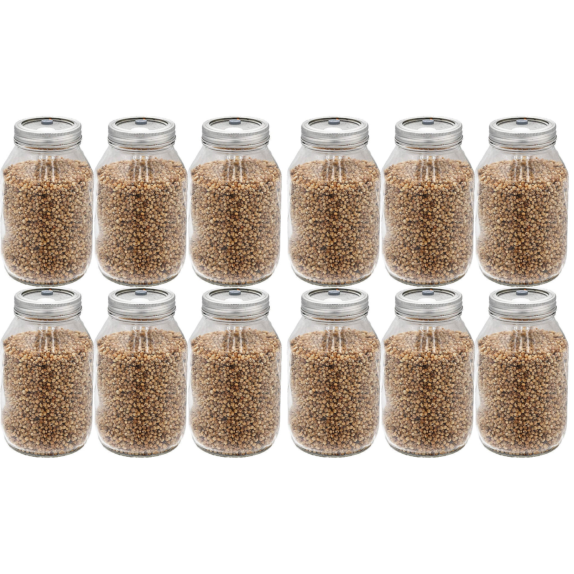 12 quart jars of white milo mushroom substrate