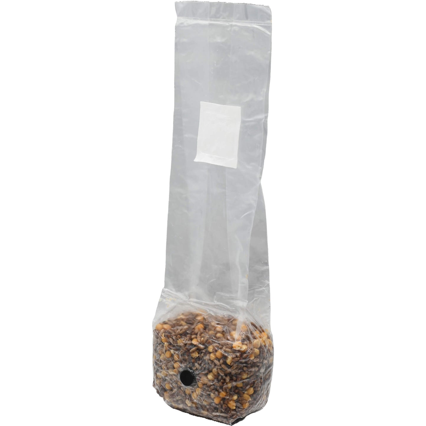 1 pound grow bag of multi grain mushroom substrate standing facing left