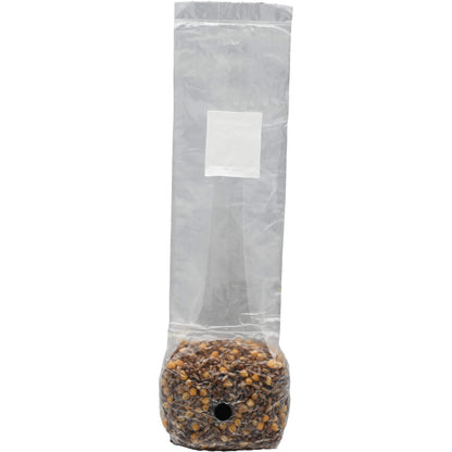 1 pound grow bag of multi grain mushroom substrate standing facing forward