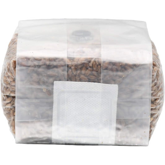 1 pound grow bag of rye berry mushroom substrate folded facing forward