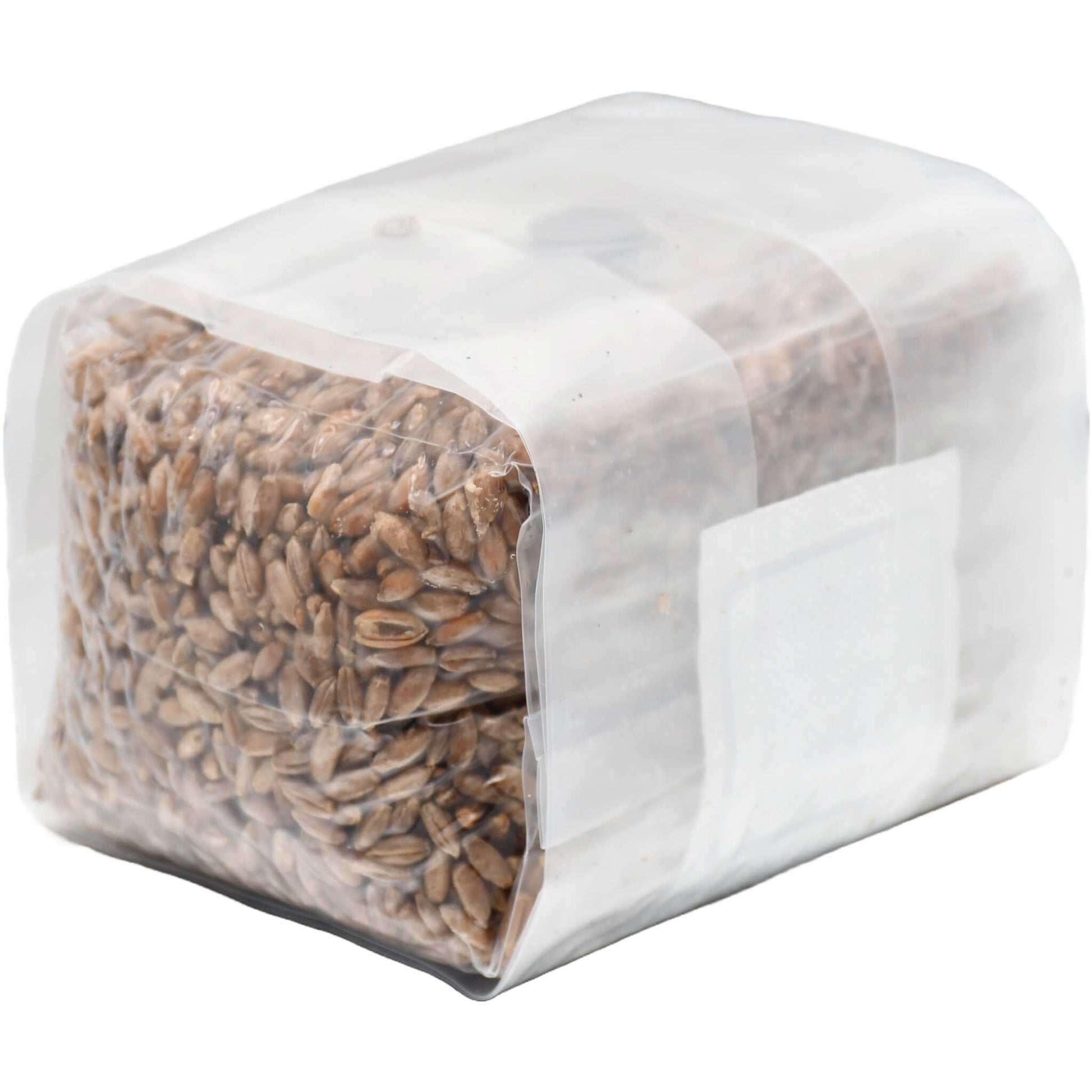 1 pound grow bag of rye berry mushroom substrate folded facing right