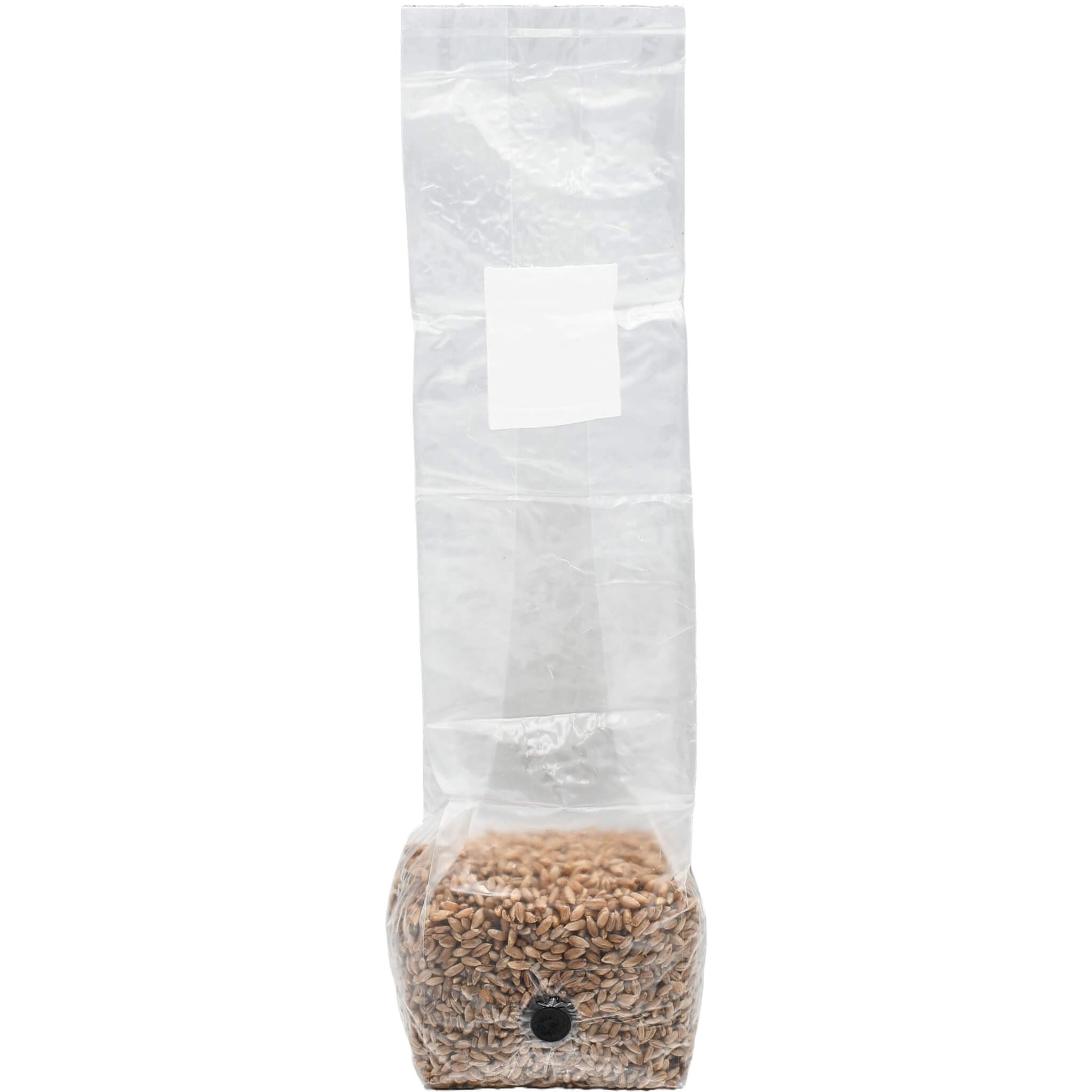 1 pound grow bag of rye berry mushroom substrate standing facing forward