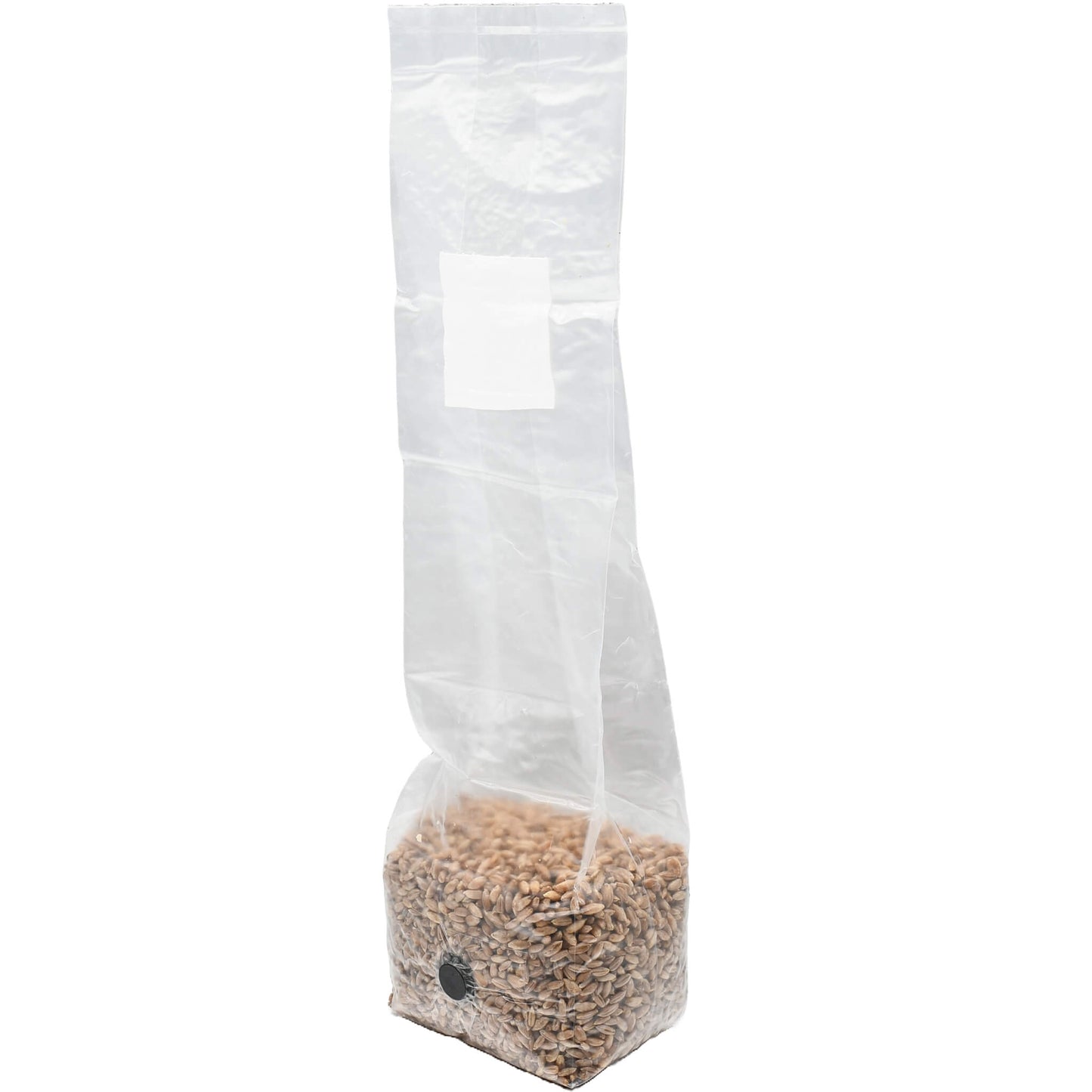 1 pound grow bag of rye berry mushroom substrate standing facing left