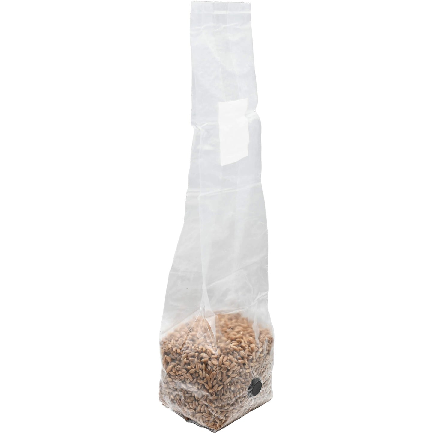 1 pound grow bag of rye berry mushroom substrate standing facing right