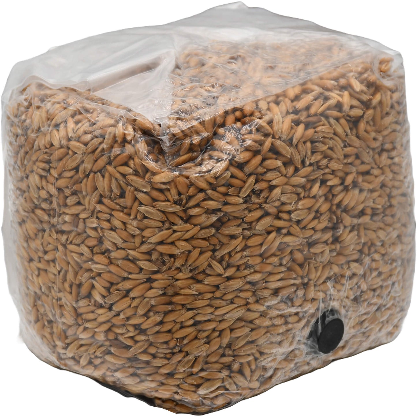 3 pound grow bag of whole oats mushroom substrate folded facing right