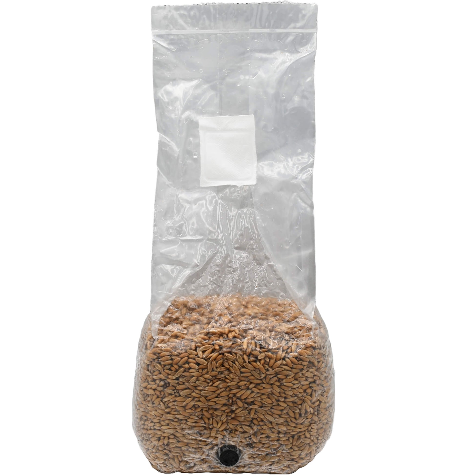 3 pound grow bag of whole oats mushroom substrate standing facing forward