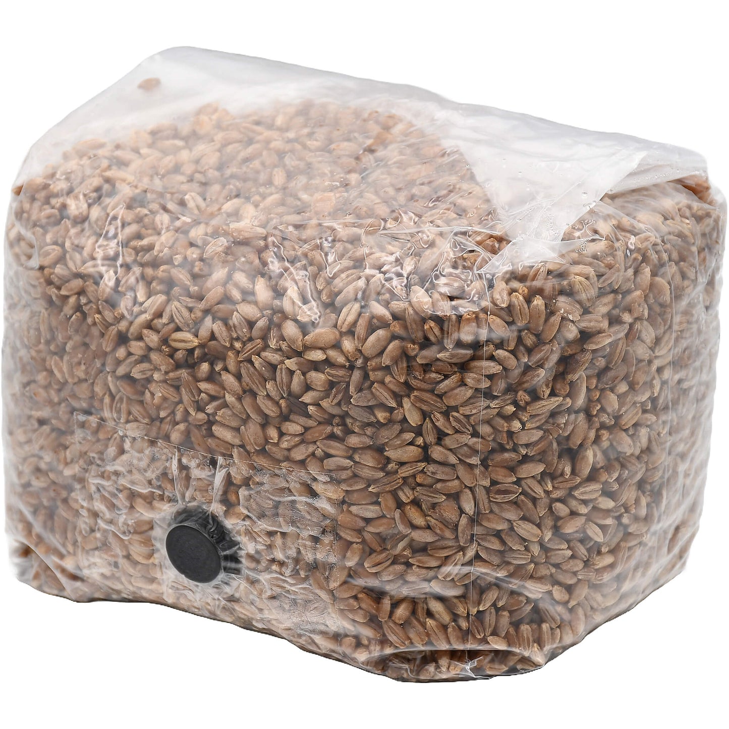 3 pound grow bag of rye berry mushroom substrate folded facing left