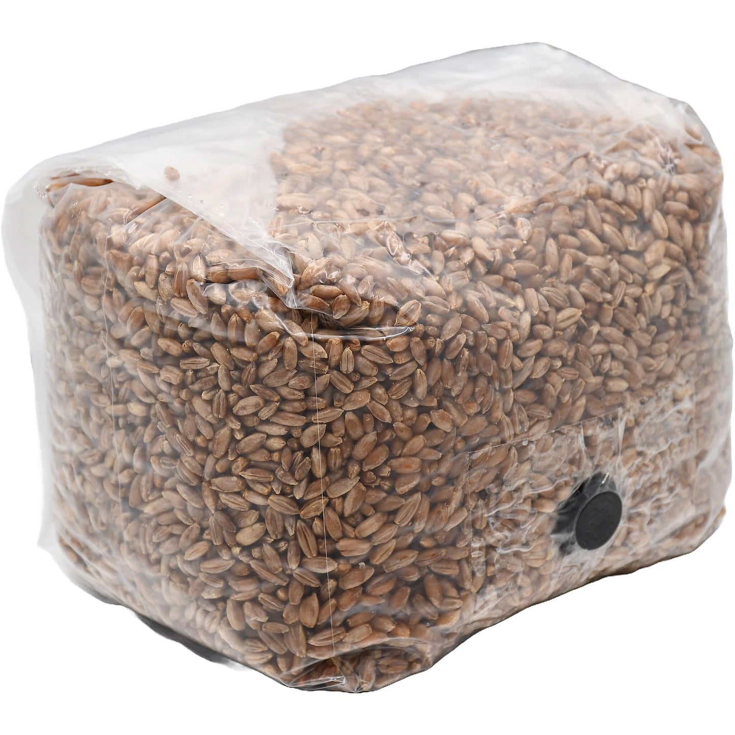 3 pound grow bag of rye berry mushroom substrate folded facing right