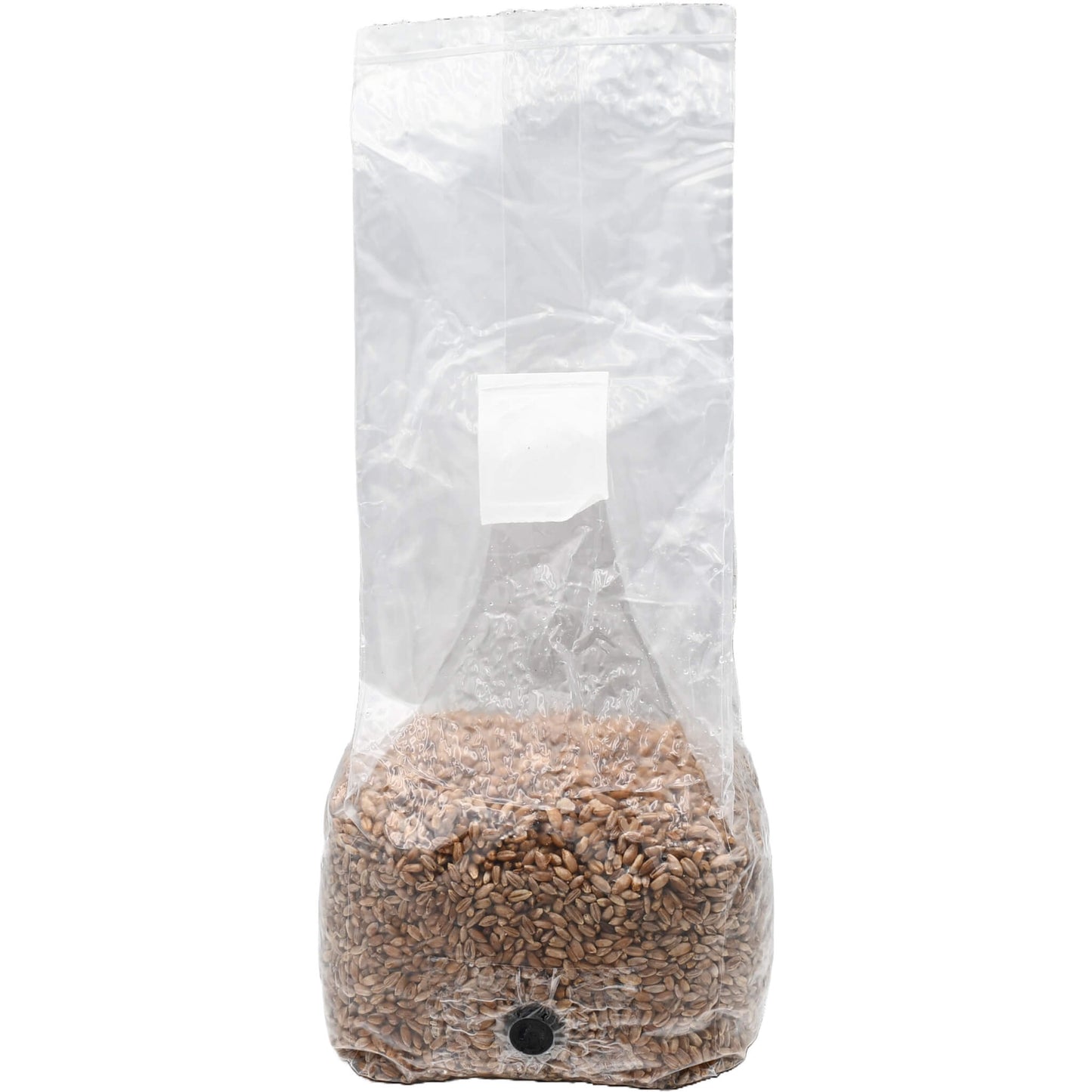 3 pound grow bag of rye berry mushroom substrate standing facing forward