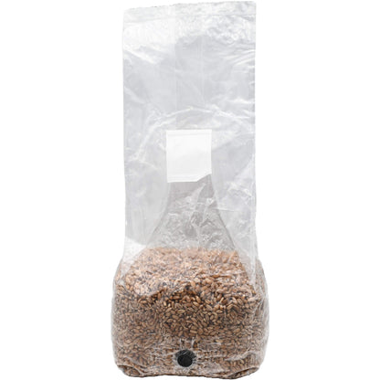 3 pound grow bag of rye berry mushroom substrate standing facing forward