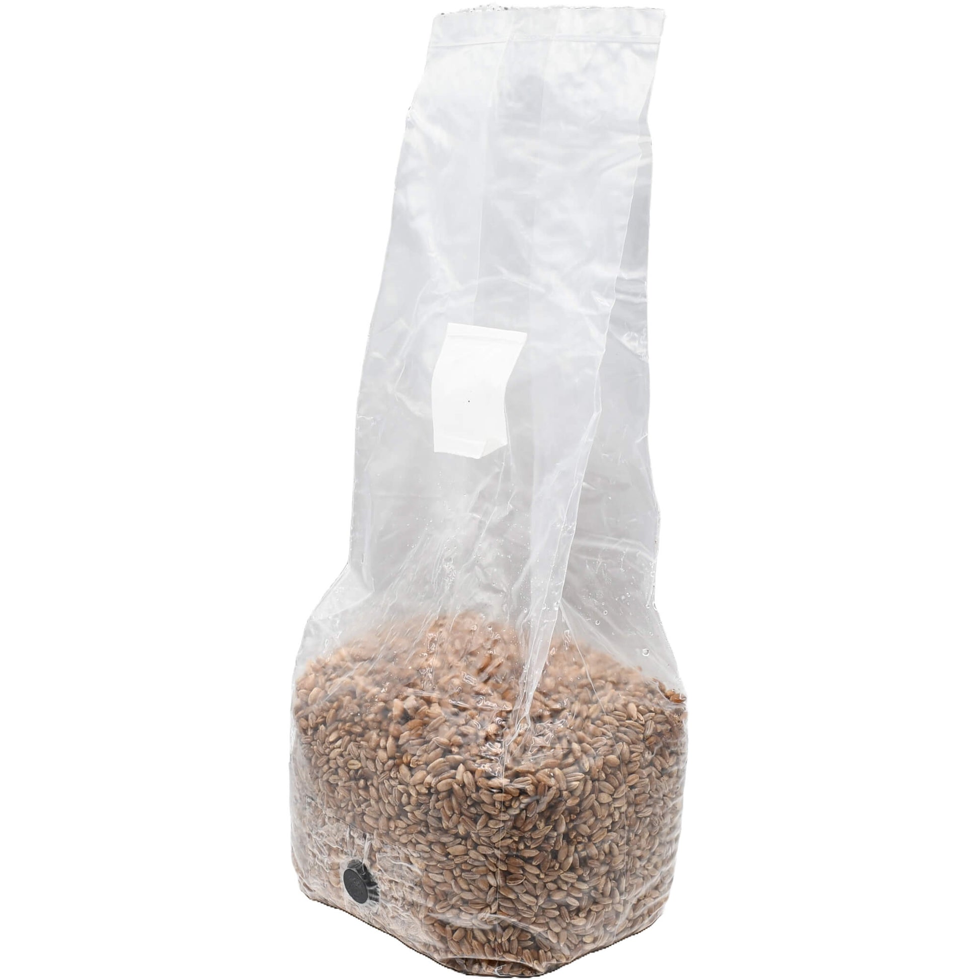 3 pound grow bag of rye berry mushroom substrate standing facing left