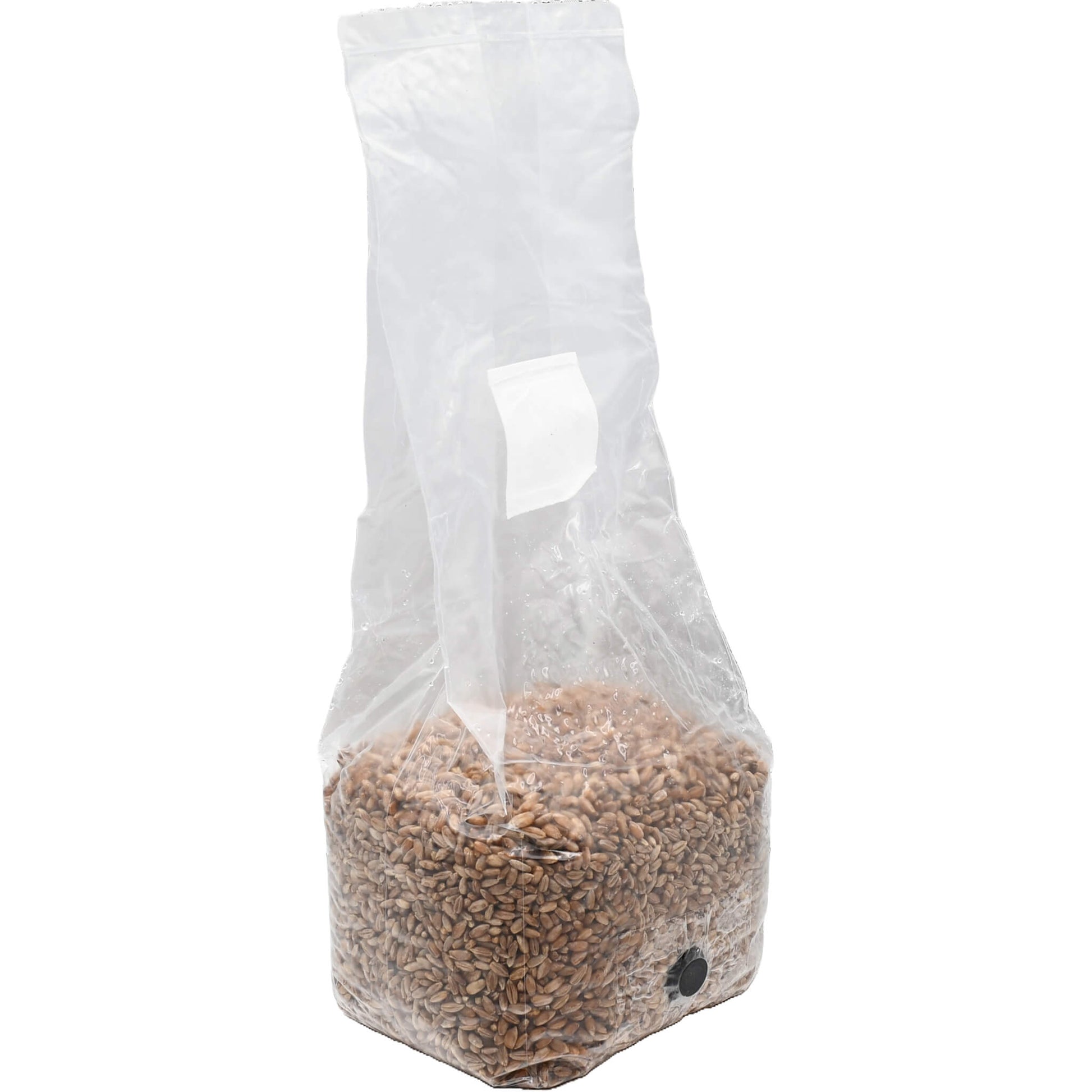 3 pound grow bag of rye berry mushroom substrate standing facing right