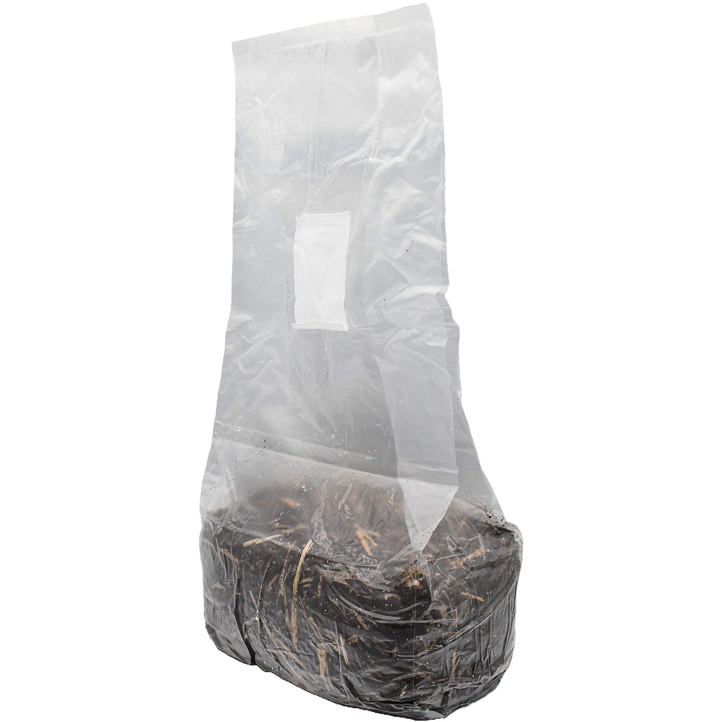 5 pound bag of horse manure and straw mushroom substrate standing facing left