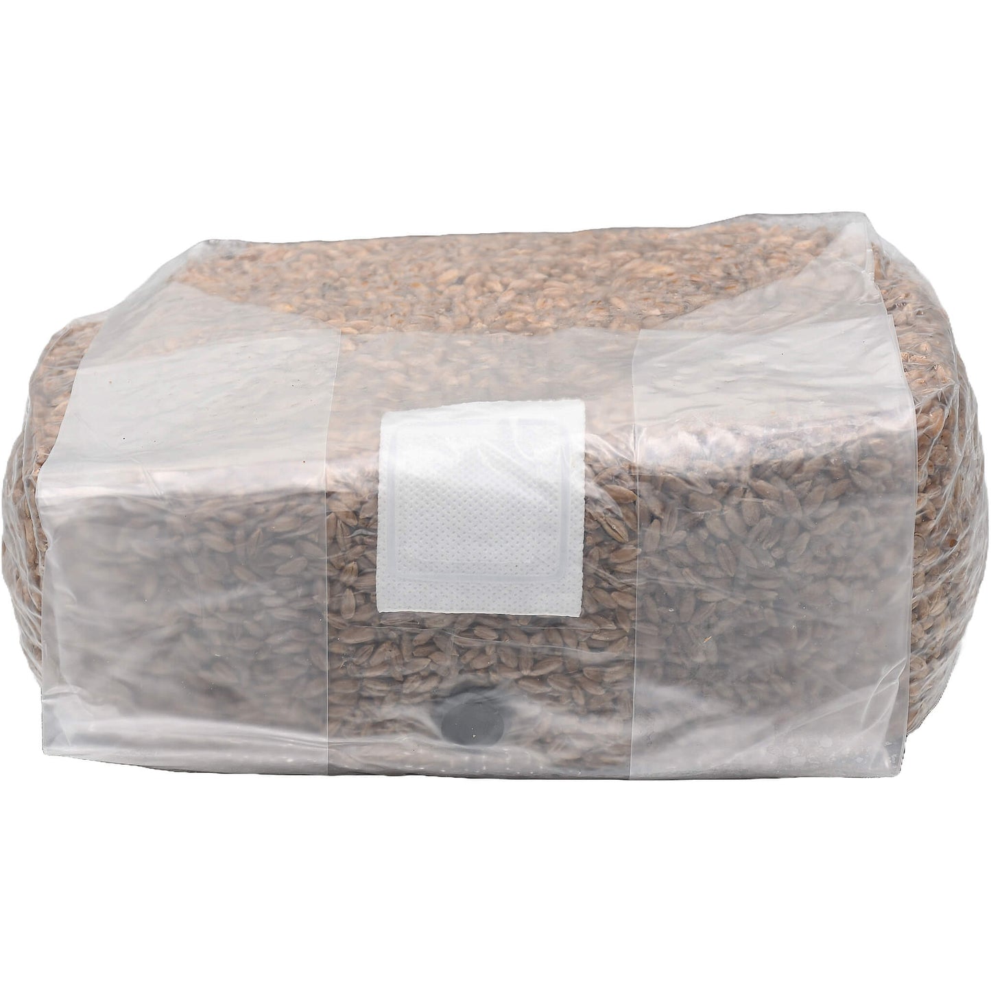 5 pound bag of rye berry mushroom substrate folded facing forward