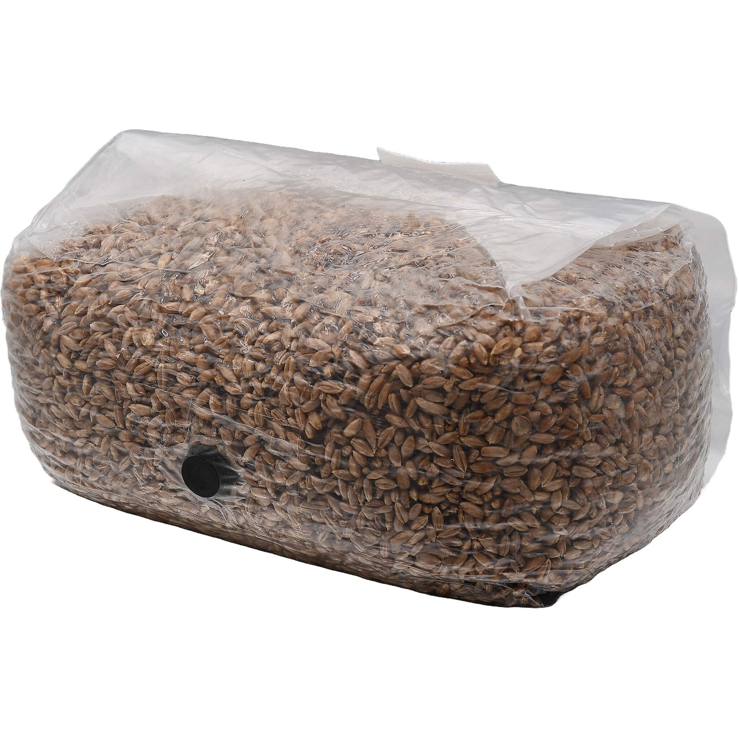 5 pound bag of rye berry mushroom substrate folded facing left