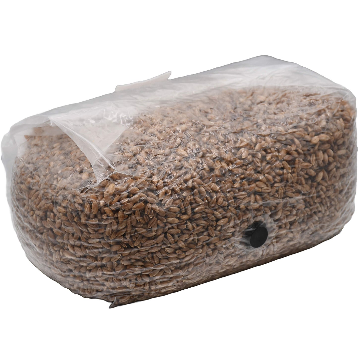 5 pound bag of rye berry mushroom substrate folded facing right