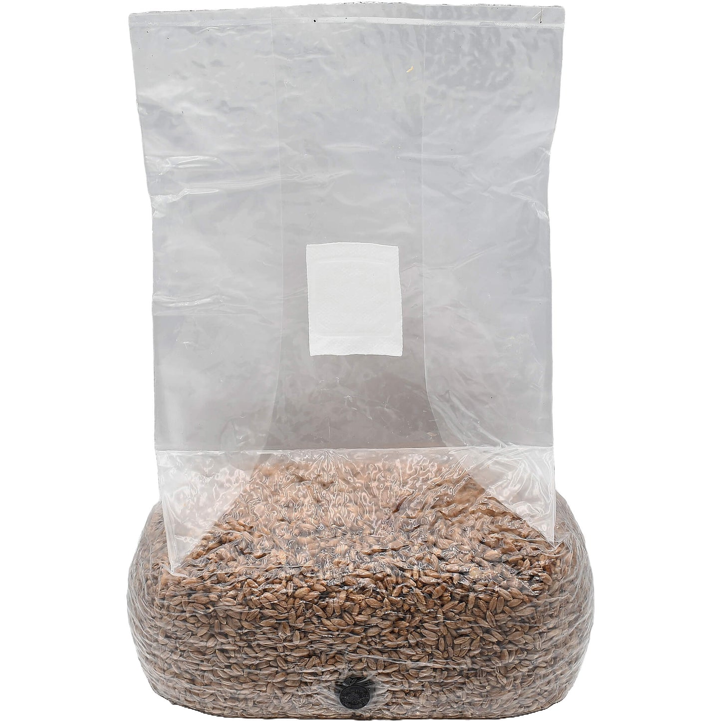 5 pound bag of rye berry mushroom substrate standing facing forward