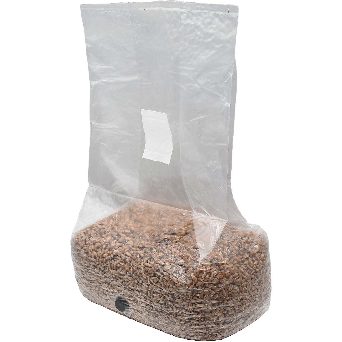 5 pound bag of rye berry mushroom substrate standing facing left