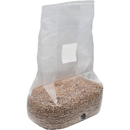 5 pound bag of rye berry mushroom substrate standing facing right