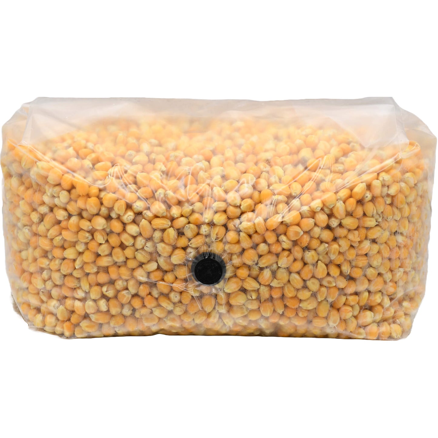 5 pound grow bag of popcorn mushroom substrate folded facing forward