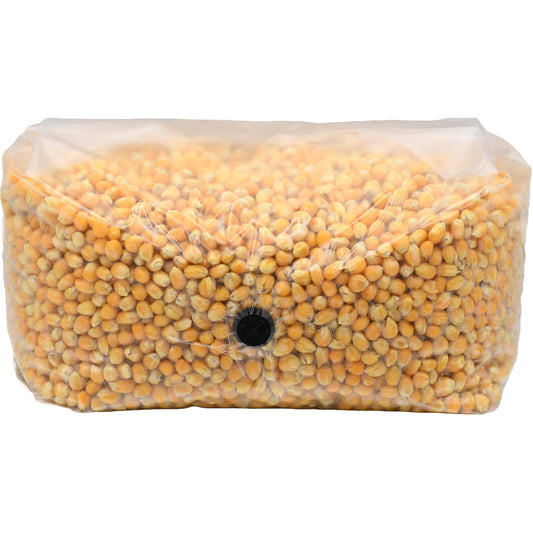 5 pound grow bag of popcorn mushroom substrate folded facing forward