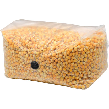 5 pound grow bag of popcorn mushroom substrate folded facing left