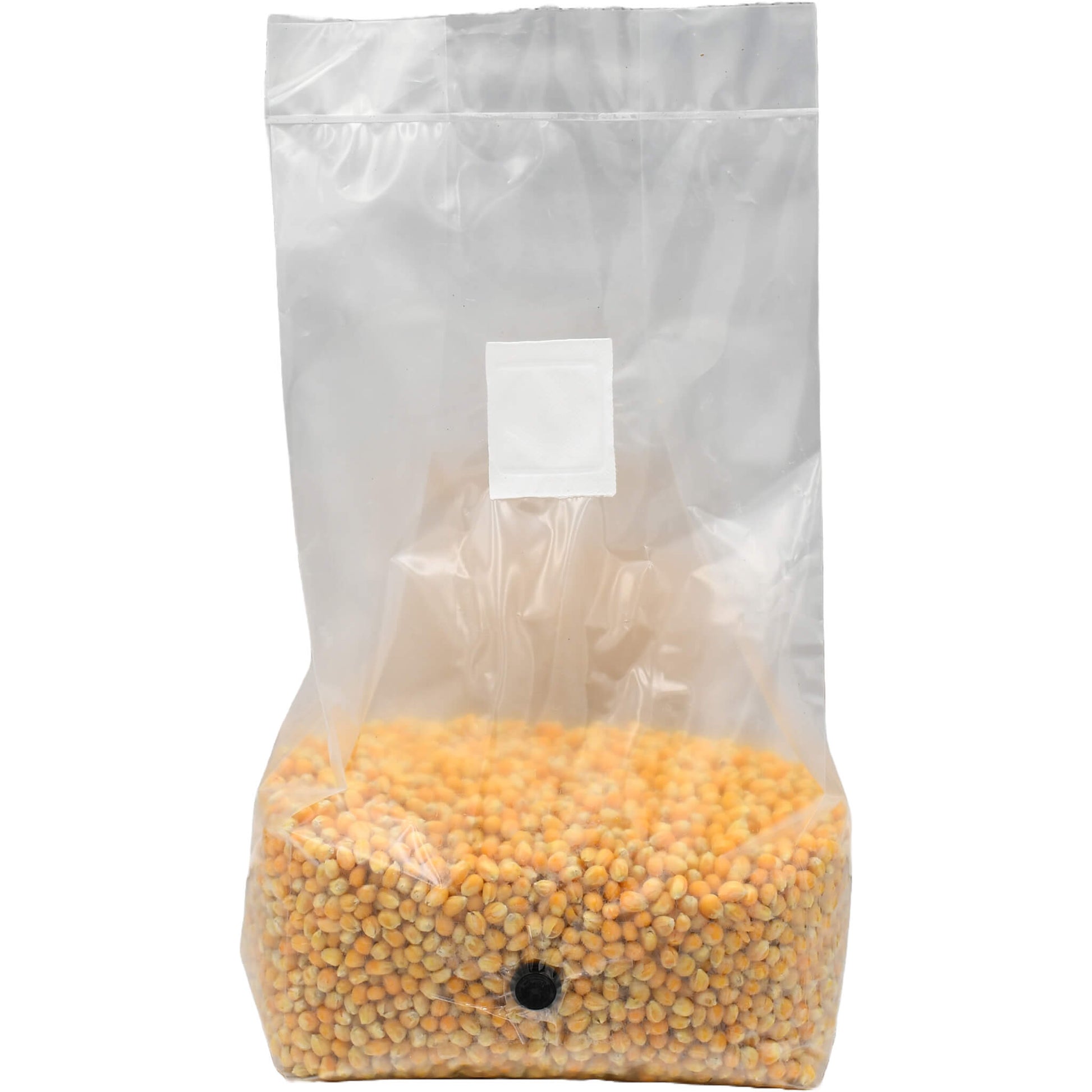 5 pound grow bag of popcorn mushroom substrate standing facing forward