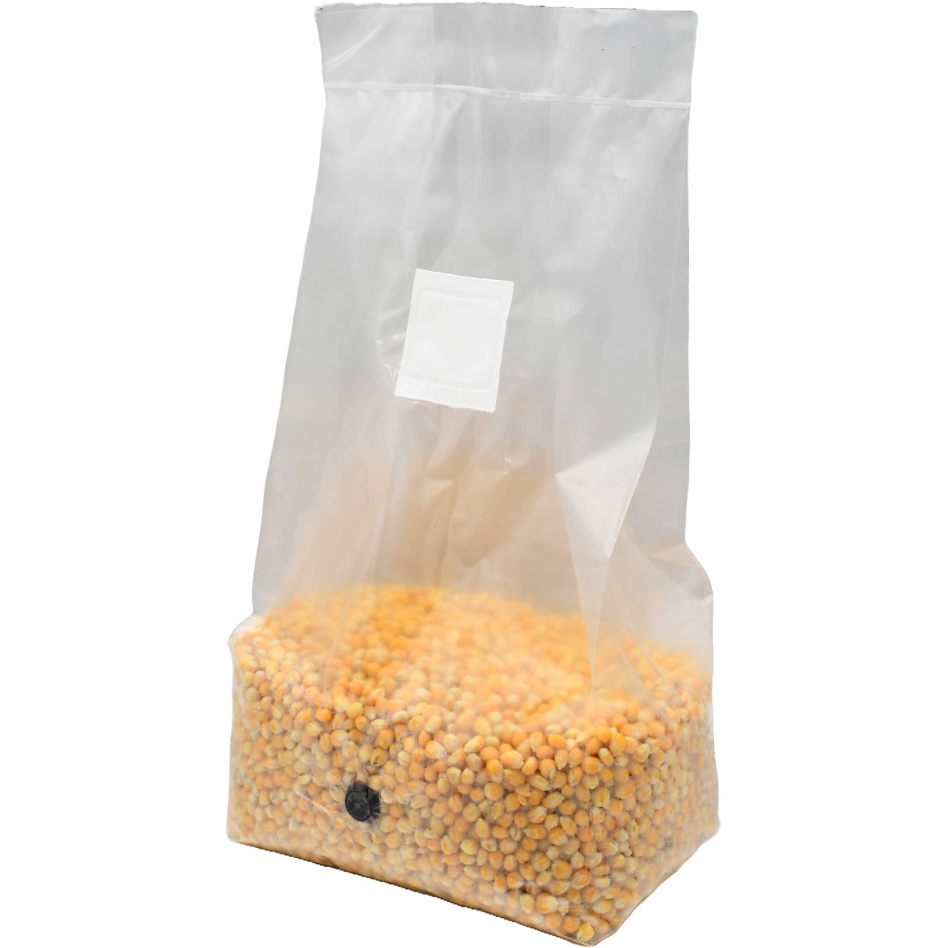 5 pound grow bag of popcorn mushroom substrate standing facing left