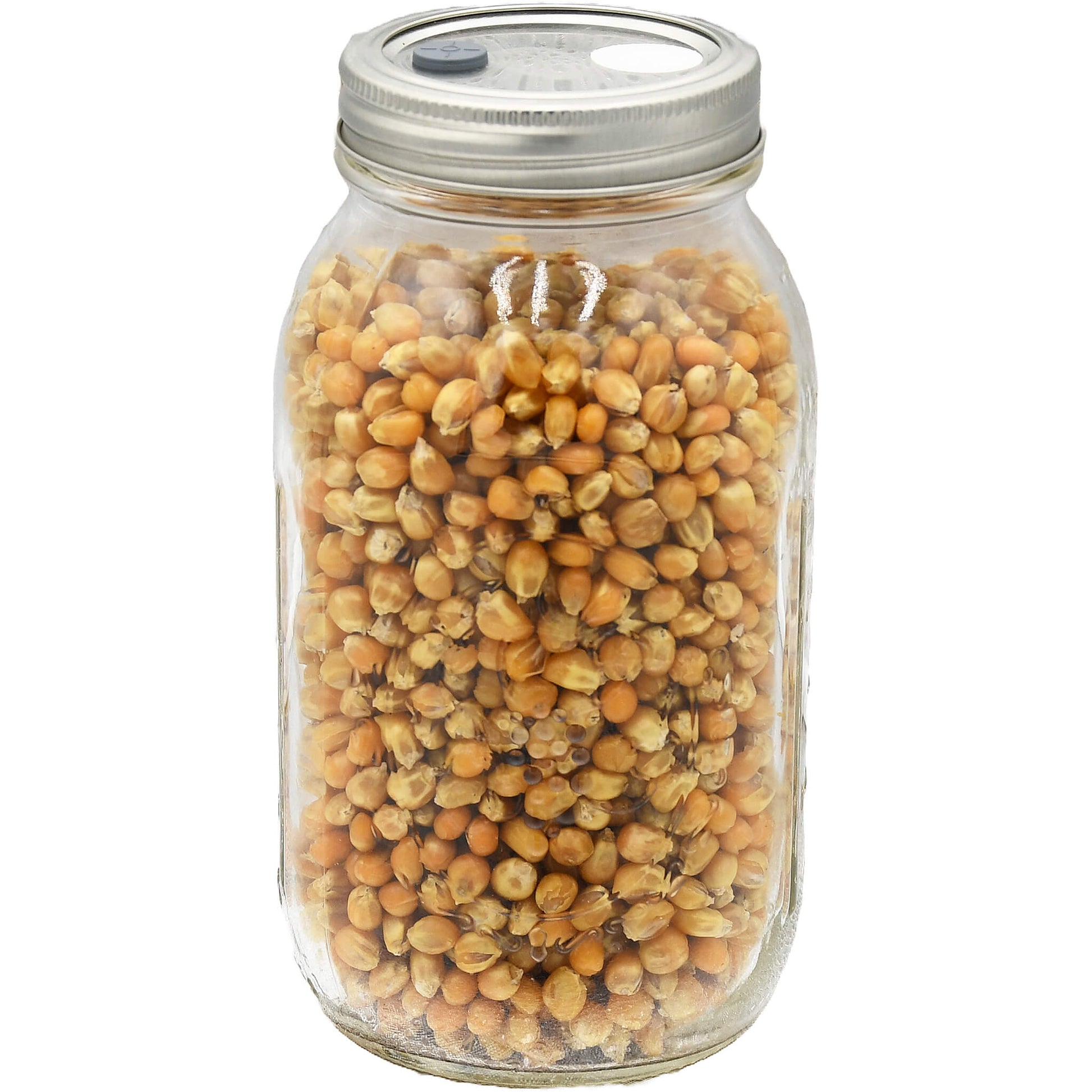 quart jar of popcorn mushroom substrate