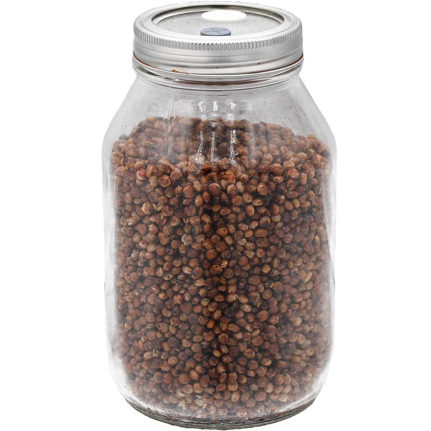 1 quart jar of red milo mushroom substrate